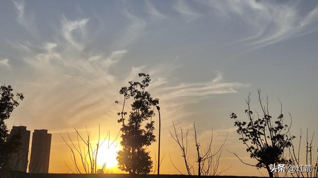 深度解析“薅羊毛、占便宜”的心理动因