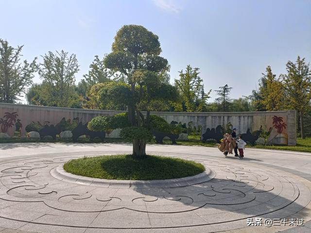 无为在歧路，国庆游淄博1