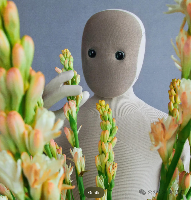 全球首个「不带脑子」的住家机器人开卖，售价14万！