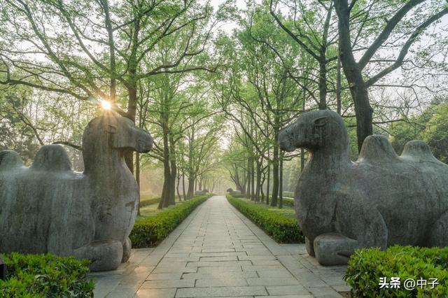 南京的秋天，凭什么这么低调？