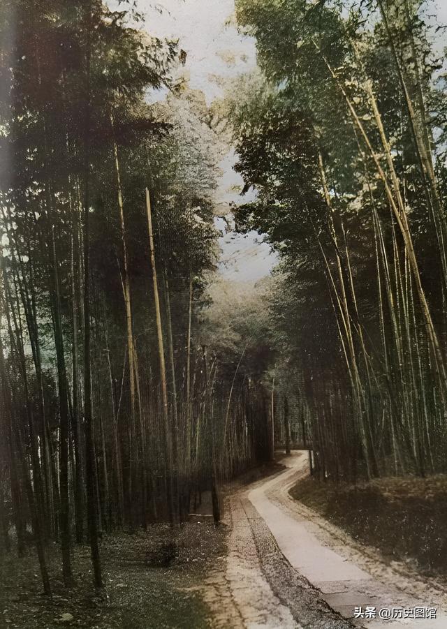 50年代杭州，居然是这个样子的！西湖没什么游客，黄龙洞太神秘