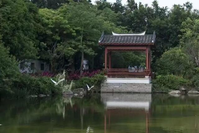 走！跟着区长游鼓楼 | 线路二 山水福道亲子游