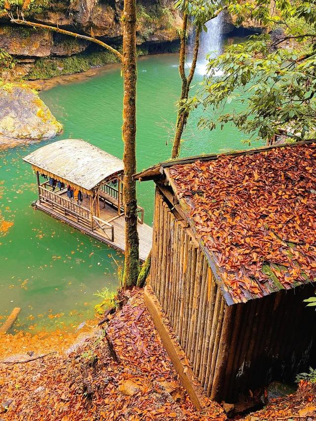 秋假免门票！抓住秋天的尾巴~来龙苍沟秋假赏秋领限定奖牌！