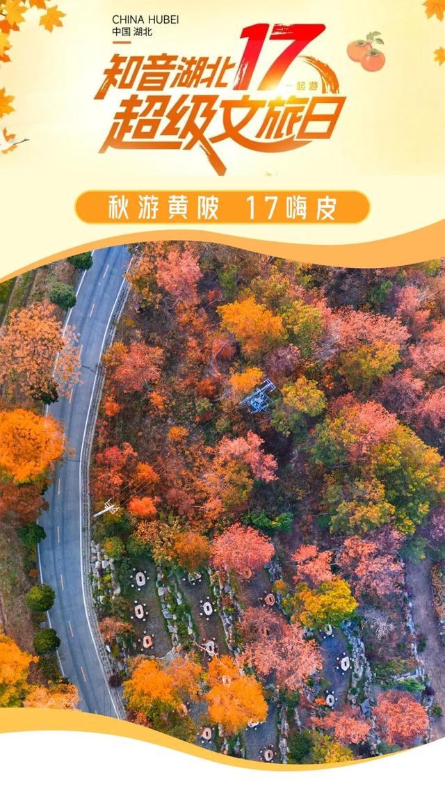 超级文旅日｜秋游黄陂，17嗨皮！