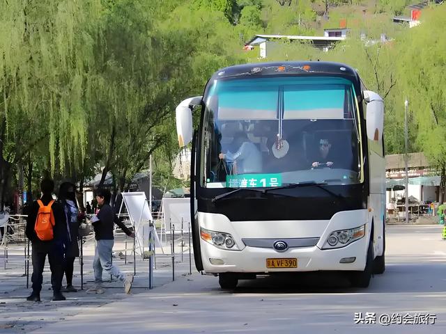 以为取消摆渡车省钱？自驾费用可能比摆渡车贵3倍+堵车堵到哭！