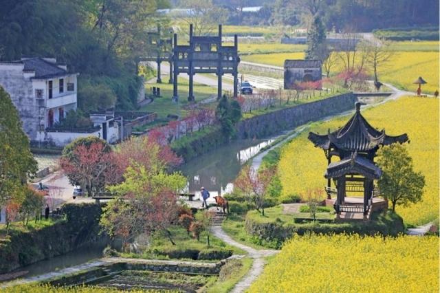 五种慢调，入画徽州