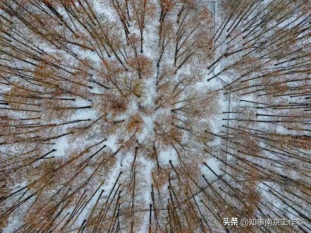 一场大雪，南京暴增20多个“5A景区” ！