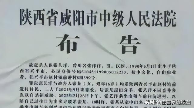 知名演员张艺洋已枪毙！中国娱乐圈首例，倪大红、李雪健被牵连
