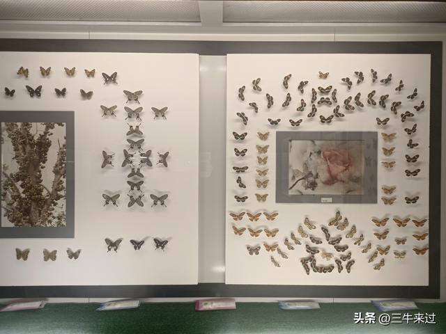 无为在歧路，国庆游淄博2