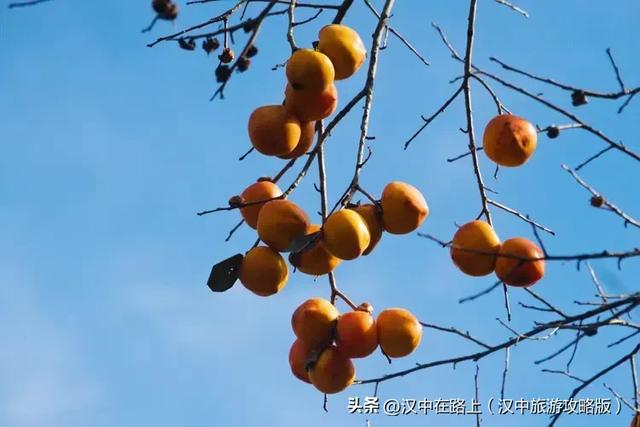 初冬游汉中岳坝,在自然里疗愈身心!