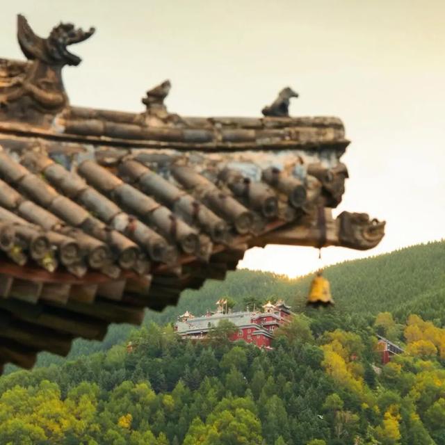 【文明旅游】山西：五台山的秋天，太治愈了！