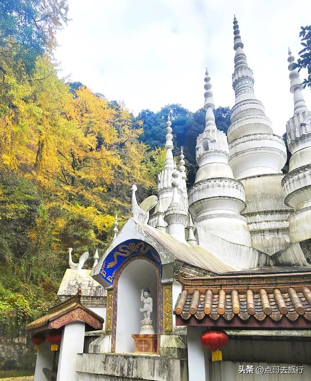 成都严重被低估的彩林徒步线路，1天轻松往返，山野壮观绚丽！