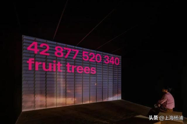 强推！这三条Citywalk路线带你畅游复兴岛和杨浦滨江