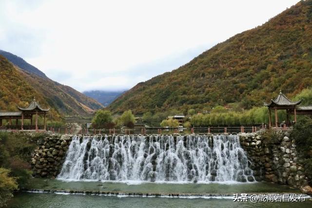 秋辞官鹅：一季斑斓入岁华