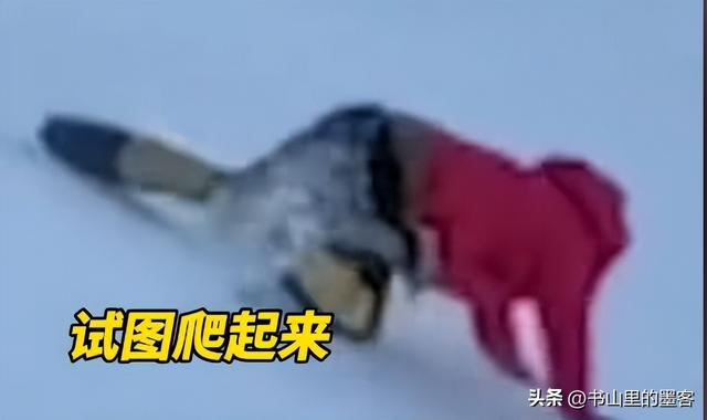 驴友坠崖身亡后续：偷登未开放区，摔倒后绝望呼救，知情人曝真相