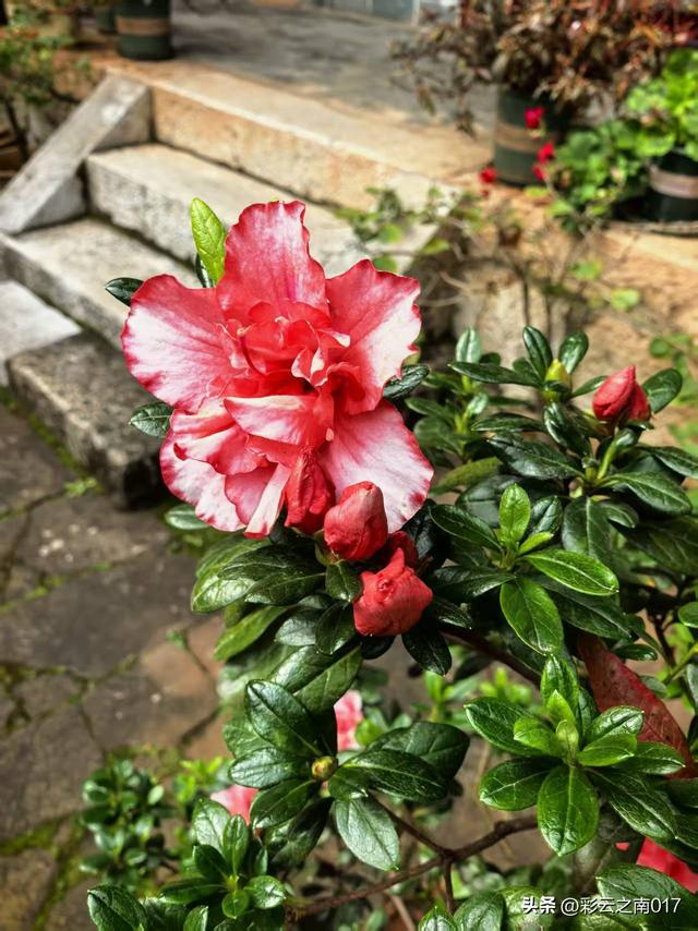 通海秀山：一座“无柱不联”的文化名山