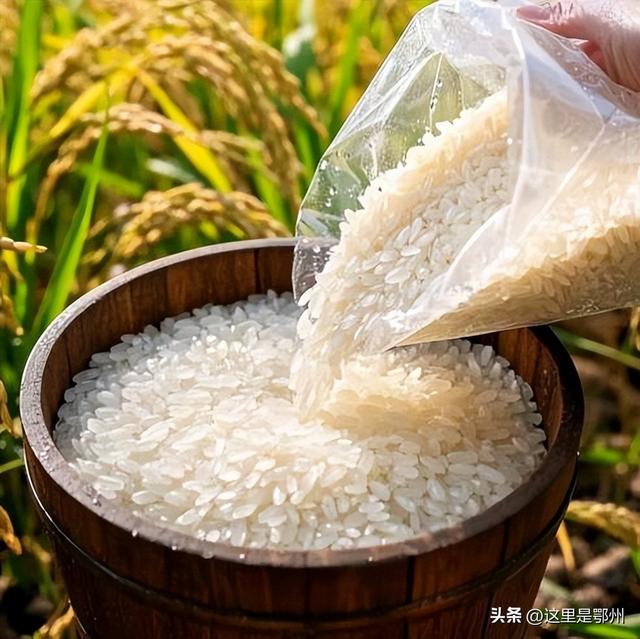 上新！鄂州新增一座“农场乐园”