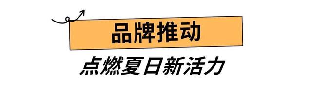 339.6万人点赞“向新”，文化与烟火点亮城市夜晚