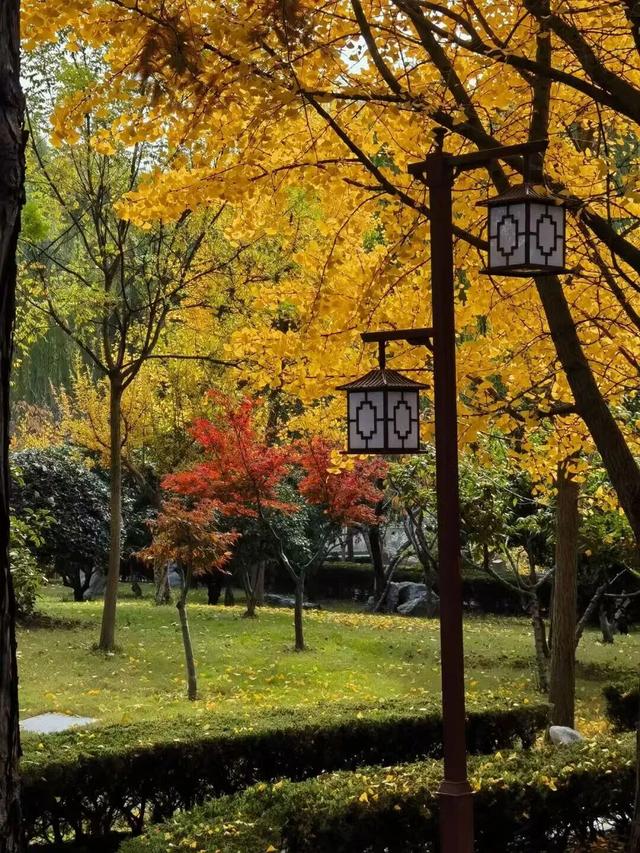 临沂初冬“热”出圈！打卡攻略赶紧码