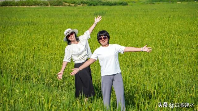 出片率100%！建水稻田公园铺开绿色海洋