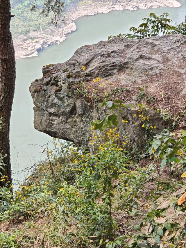 重庆铁山坪森林公园轻徒步路线