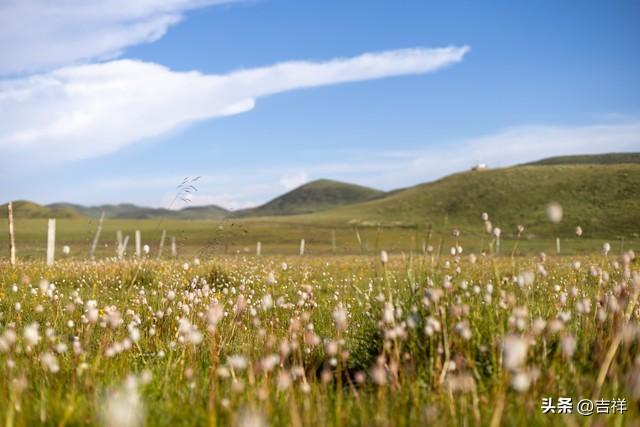 养老热议：如何守护晚年幸福？新型养老方式来了，挑战传统观念！