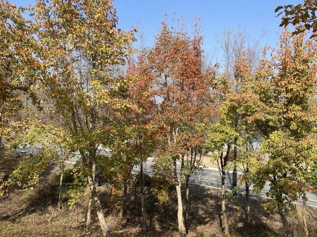 骑游仪征龙山森林公园、六合长江渔村