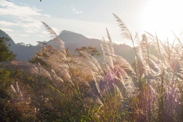 这个冬天，把印象大红袍的「空镜头」，存进你的取景框。