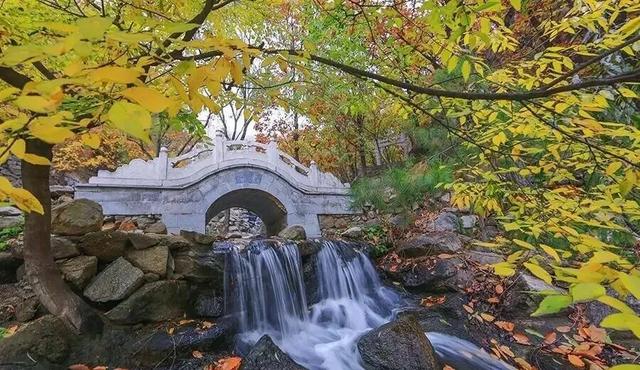 盘山 “红” 了！