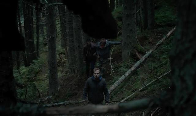 这片森林邪门得很!胆小慎入