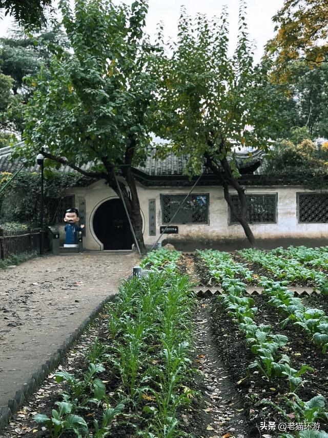 被苏杭压了太多年！绍兴：明明是江南最有味道的老城，却藏得太深