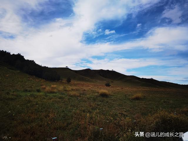 总要去趟草原吧！自驾塞罕坝和乌兰布统超简攻略（附图超全）
