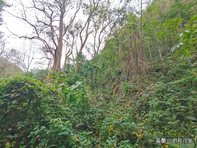 寻找一个最为艰难的躲匪洞，我难到达，土匪也难以到达