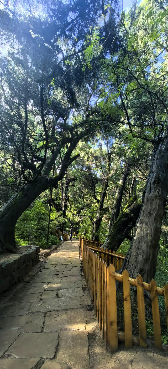 蜀道记行‖从万夫莫开剑门关到三百里翠云廊