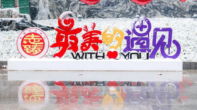 河北衡水：2025年首次降雪，臻园雪景绝绝子！