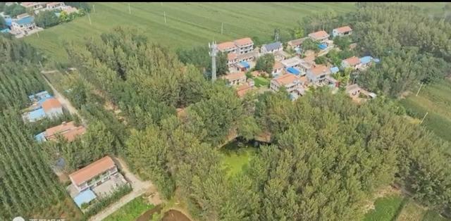 魅力曹县楼庄镇