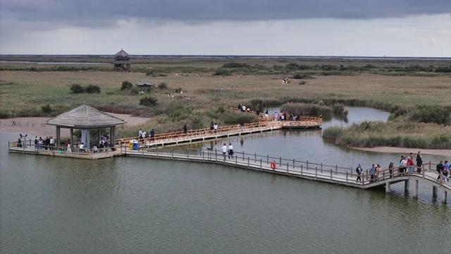 【黄河口生态旅游区】错峰出游 感受正月里的“松弛感”！