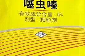 用噻虫嗪灭虫，不要只会喷雾，换几个用法，治虫效果会更好图片