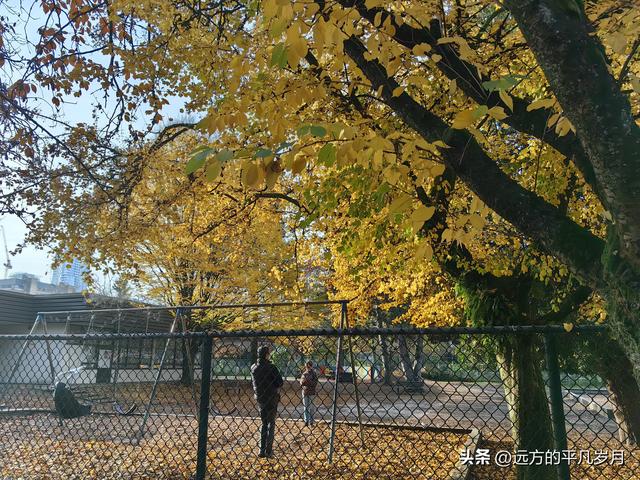 温哥华游记（四）