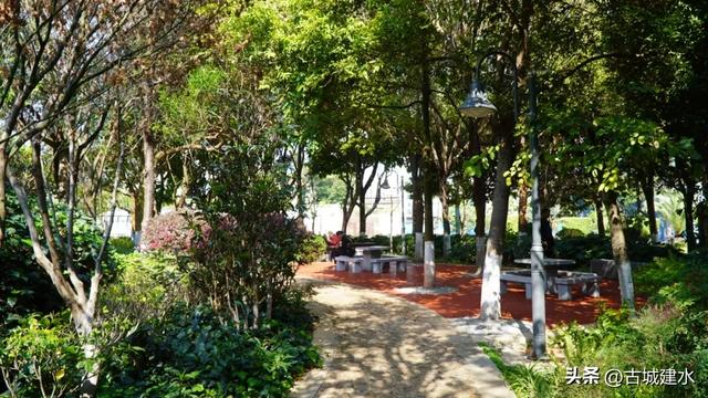 焕新亮相！建水永祯文化广场改造完成全新开放
