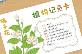栀子花植物记录卡手抄报 162 🌿图片