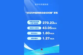 2025中国民营企业500强榜单来了！图片