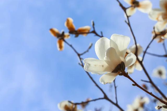 呼和浩特太会了！用“山、天、水、土、绿”拼出顶流🤩