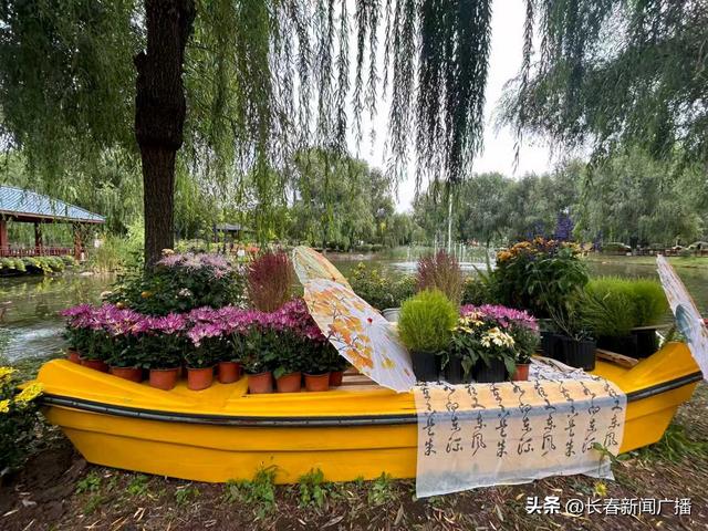 赏菊正当时！长春市百花园第三届金秋菊花展启幕