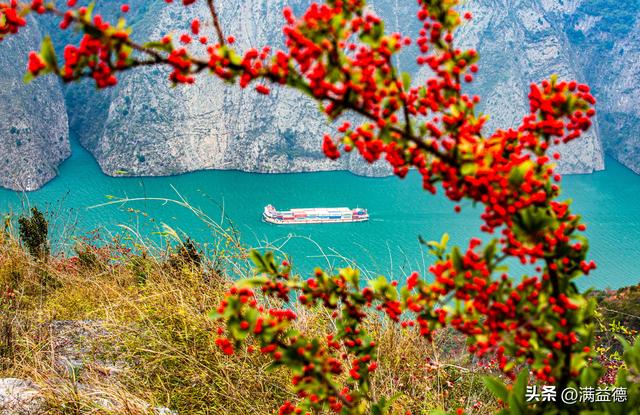 冬日巫山：红叶浸透风骨，江山如画