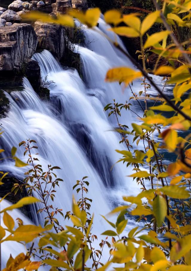 藏在武都的深秋秘境！