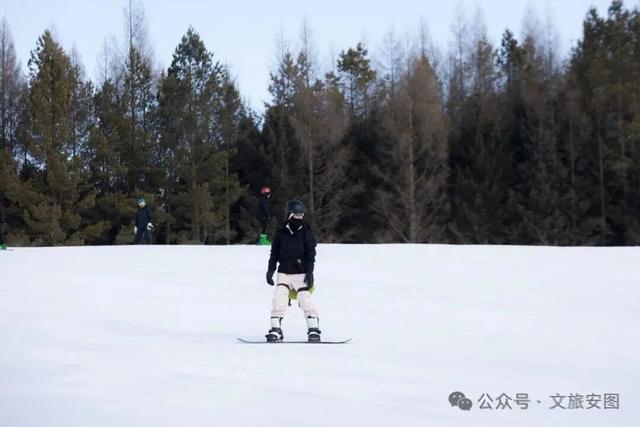 听说在安图滑雪，摔跤是种享受？这粉雪绝了，滑一次就上瘾！