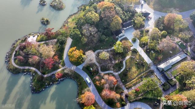 江苏扬州的冬天美得像一幅画！