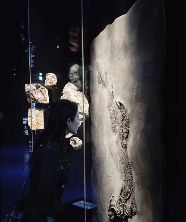 刘亦菲又出新图，穿牛仔裤大长腿抢镜，手上戴鸽子蛋大的钻戒