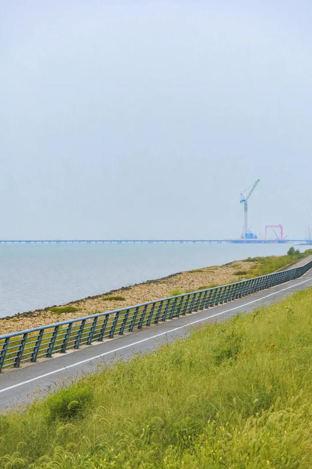 张家港很火的「线路」，后悔没早点去打卡